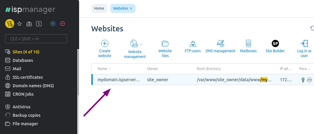 ispmanager panel lists it under the websites section